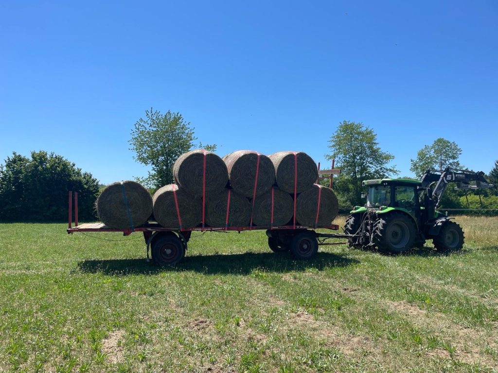 Heurundballen auf dem Anhänger auf der Proudfoot Ranch