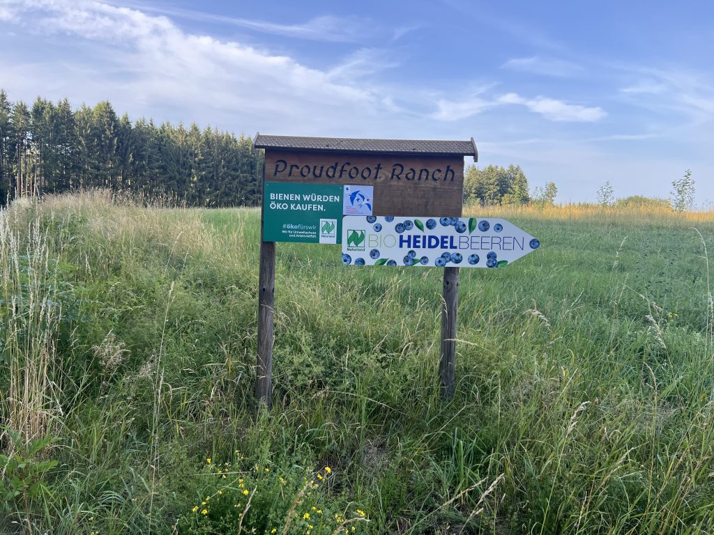 Hofschild der Proudfoot Ranch am Feldrand mit Hinweis auf Bio-Heidelbeeren
